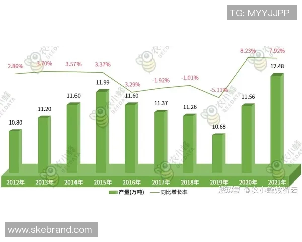 姚明织带产业发展现状与产值分析探讨