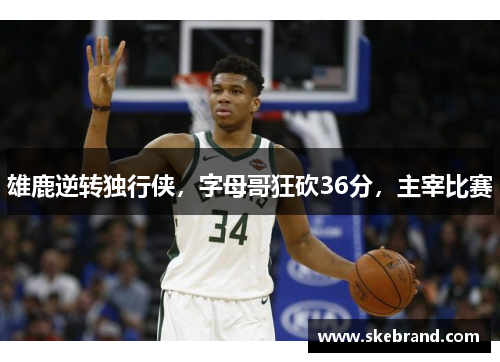 雄鹿逆转独行侠，字母哥狂砍36分，主宰比赛